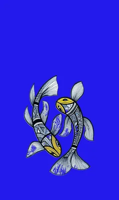 Koi Fun artwork preview