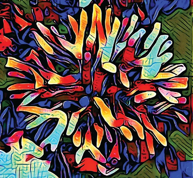 Coral Circus artwork preview