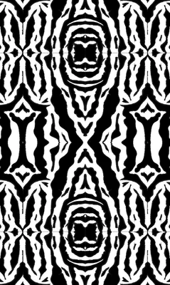 Zebra Confusion