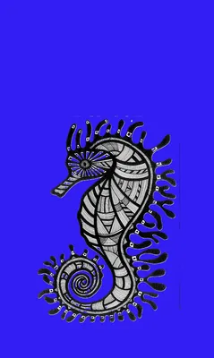 Seahorse On Blue