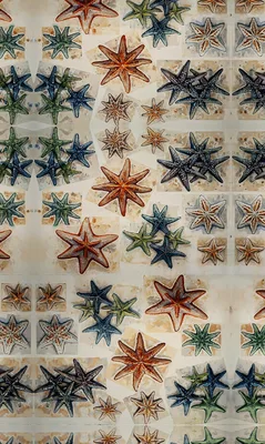 Starfish on the Move artwork preview