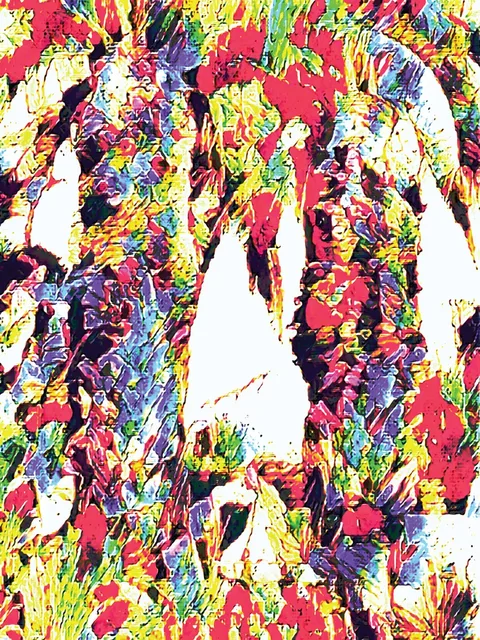 Palm Delight artwork preview