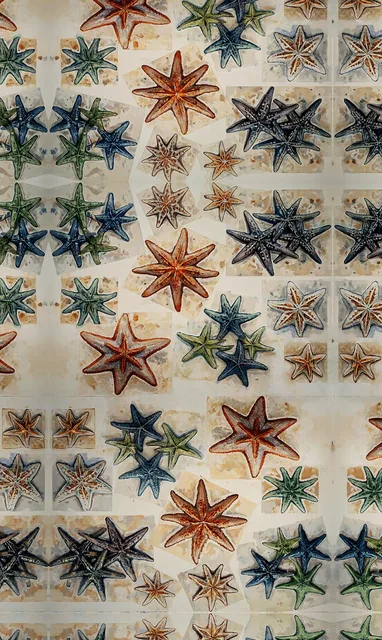 Starfish Phone artwork preview