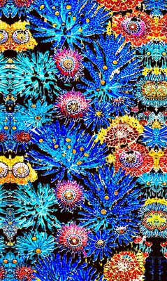 Coral Explosion artwork preview