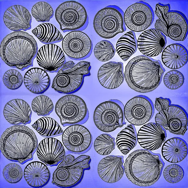 Shells Blue artwork preview
